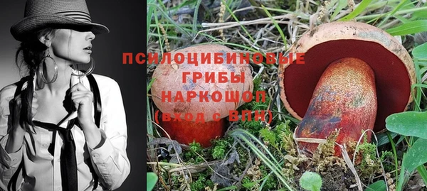 каннабис Гусиноозёрск