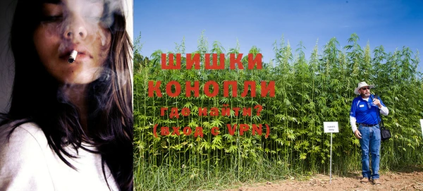 каннабис Гусиноозёрск