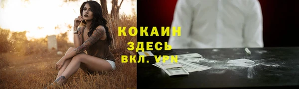 меф Гусь-Хрустальный