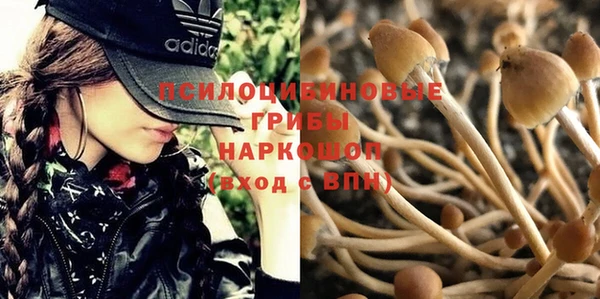 бутик Гусев