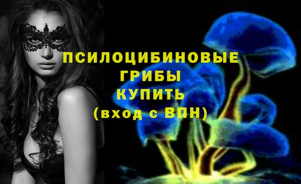 бутик Гусев
