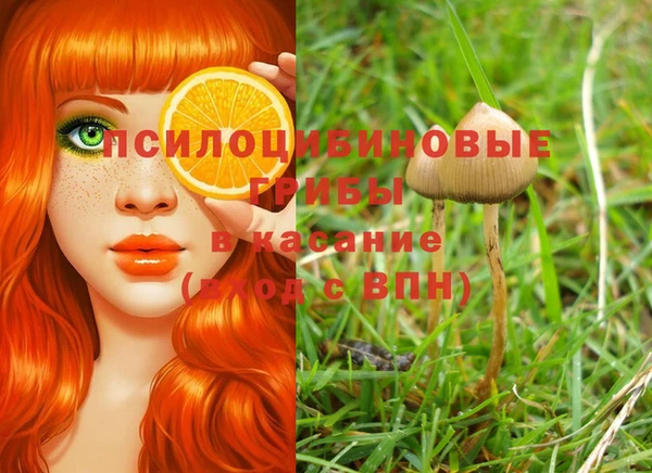 бутик Гусев