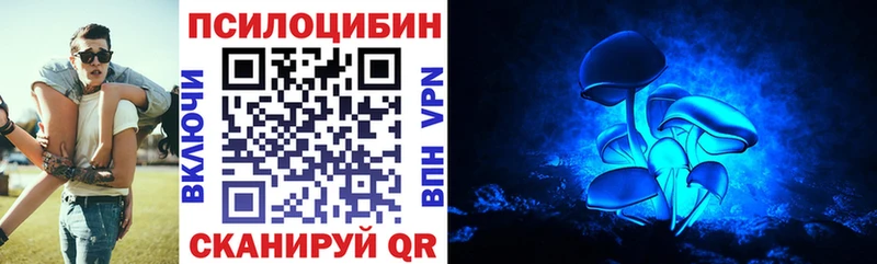 Галлюциногенные грибы прущие грибы  дарк нет какой сайт  Моршанск 