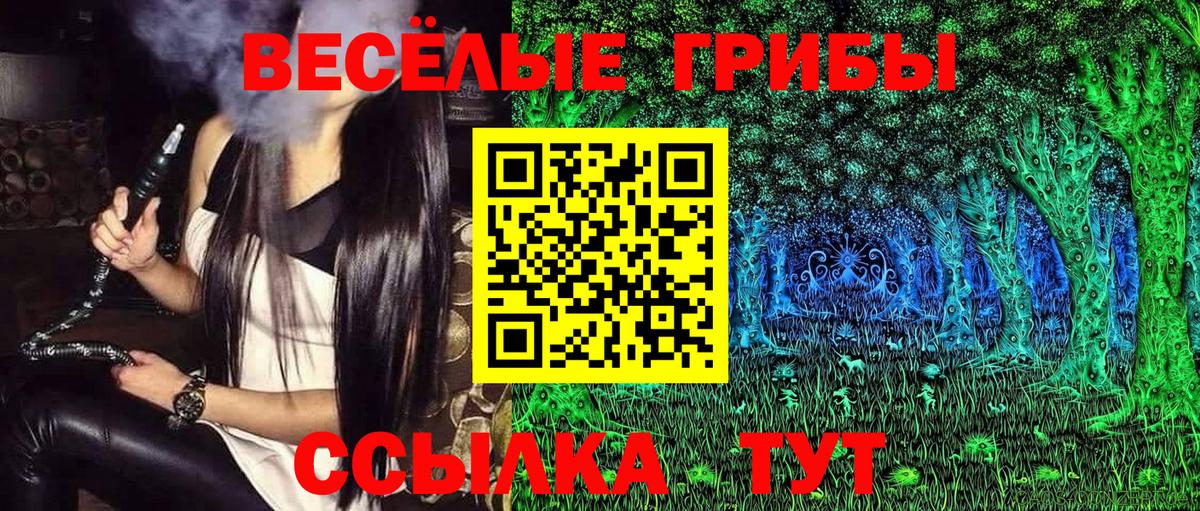 Моршанск  Галлюциногенные грибы мухоморы  Вход с VPN  Псилоцибиновые грибы Magic Shrooms 