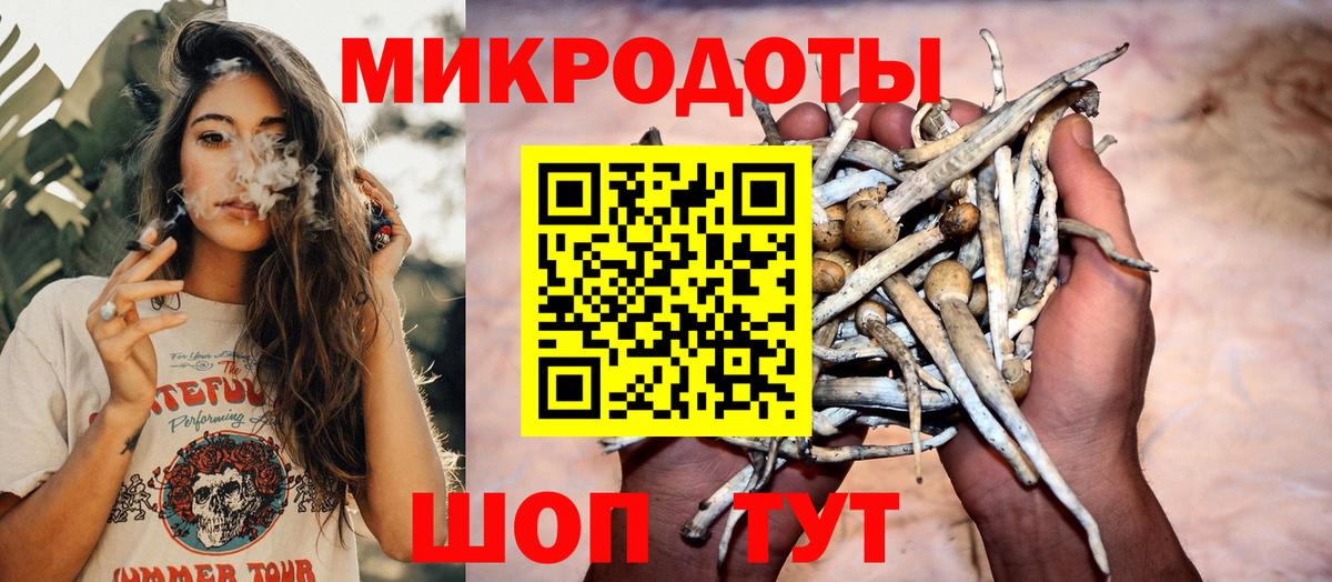 Псилоцибиновые грибы Psilocybine cubensis  Псилоцибиновые грибы мухоморы  Моршанск 