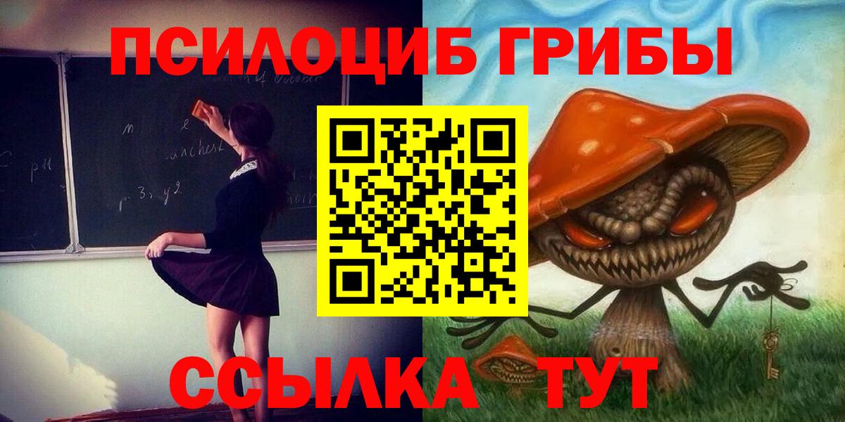 Псилоцибиновые грибы мицелий Моршанск
